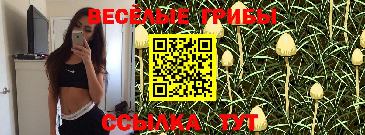 Галлюциногенные грибы Psilocybine cubensis  Псилоцибиновые грибы Psilocybe  Заинск  Вход с VPN 
