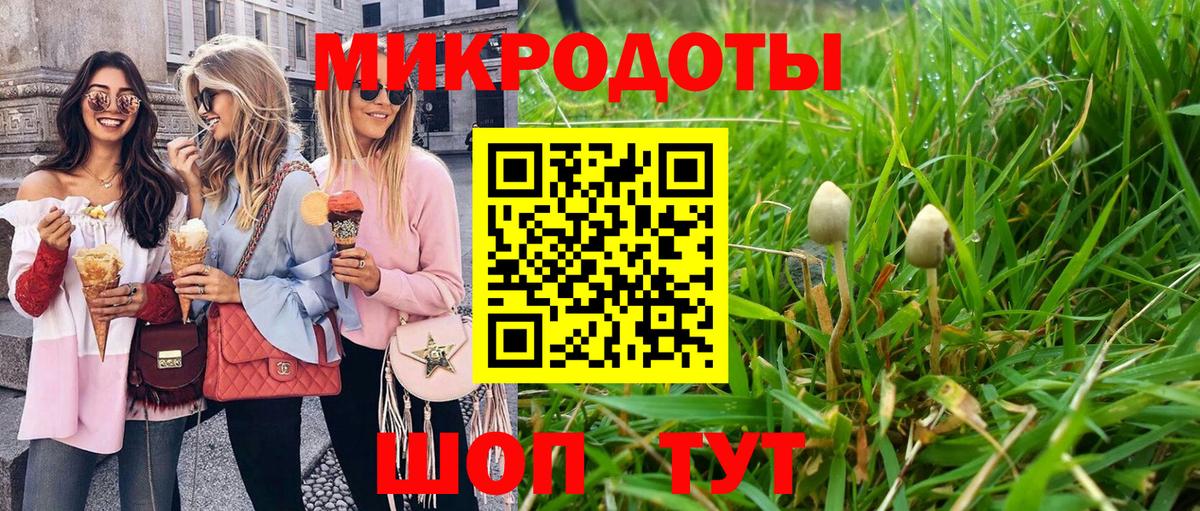 Псилоцибиновые грибы Cubensis Заинск